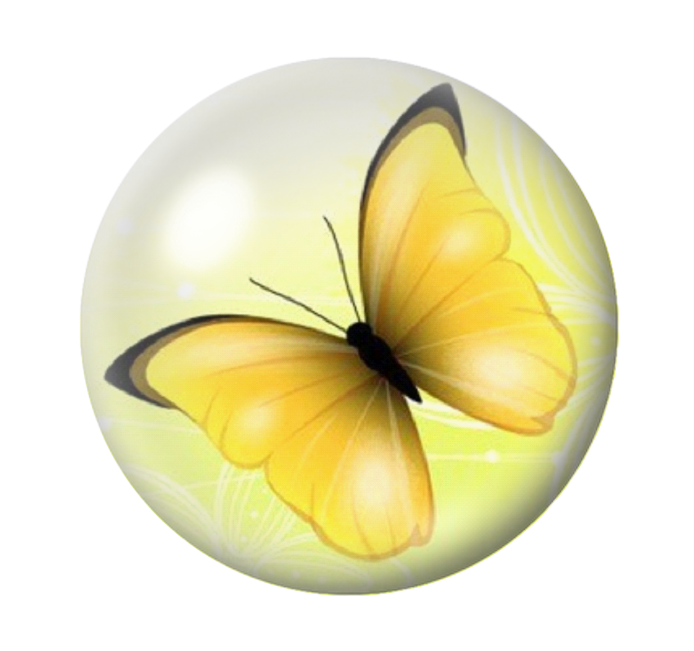 Cabochon en Verre Illustré Papillon 12 à 25mm