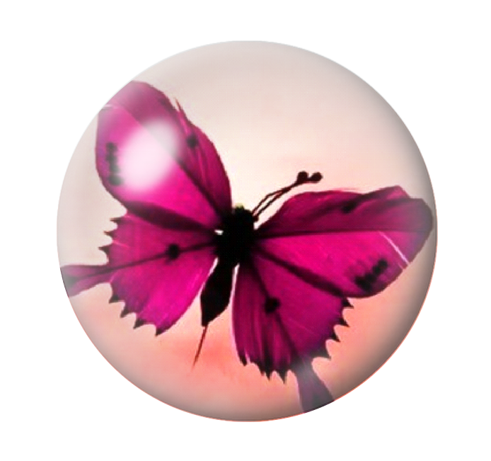 Cabochon en Verre Illustré Papillon 12 à 25mm