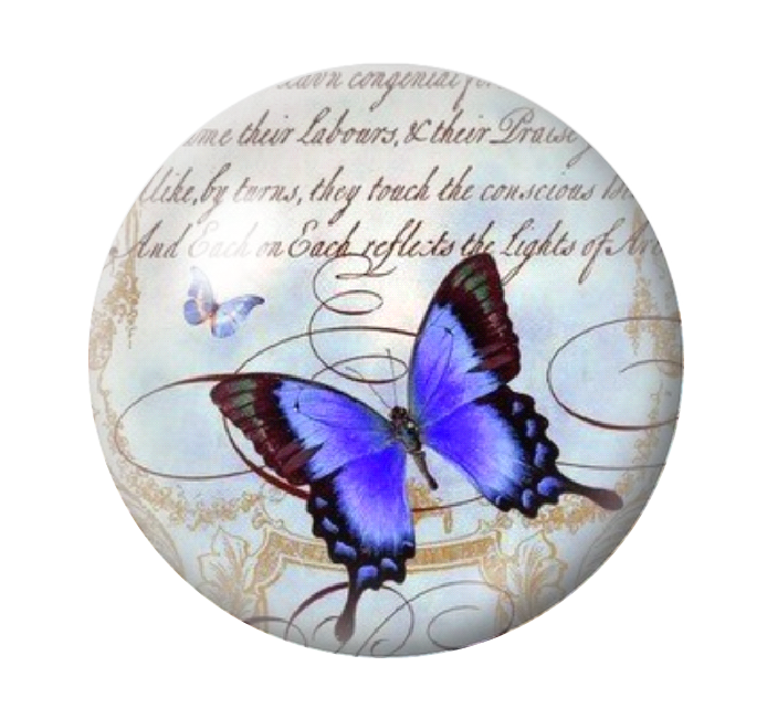 Cabochon en Verre Illustré Papillon 12 à 25mm