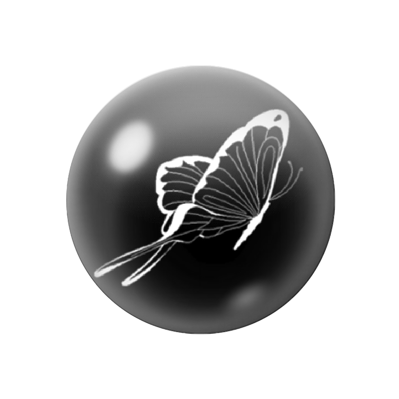 Cabochon en Verre Illustré Papillon Noir et Blanc 12 à 25mm