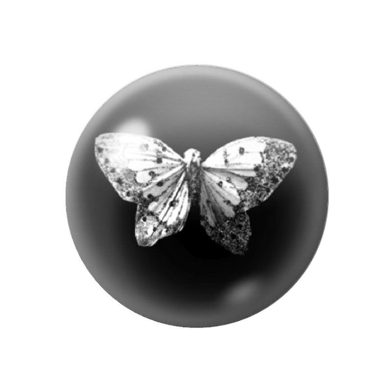 Cabochon en Verre Illustré Papillon Noir et Blanc 12 à 25mm