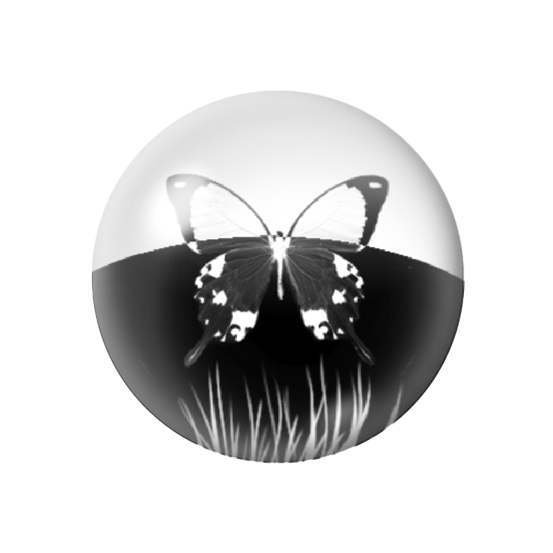 Cabochon en Verre Illustré Papillon Noir et Blanc 12 à 25mm