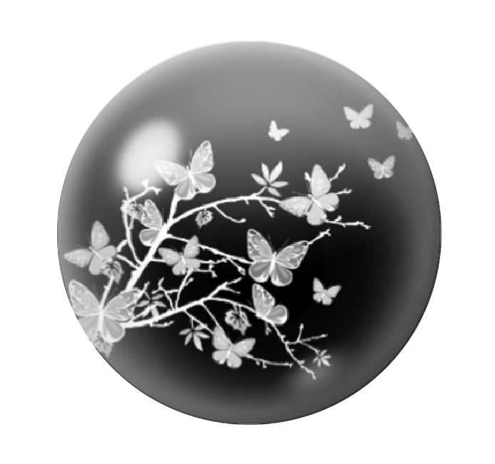 Cabochon en Verre Illustré Papillons Noir et Blanc 12 à 25mm