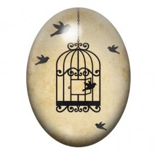 Cabochon en Verre Illustré Oiseau dans la Cage 13x18, 18x25 ou 30x40mm pour la création de bijoux fantaisie - DIY