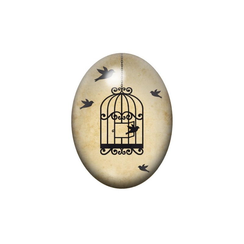 Cabochon en Verre Illustré Cage Oiseaux 13x18, 18x25 ou 30x40mm