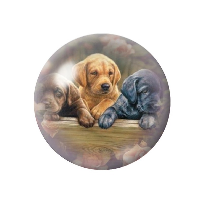 Cabochon en Verre Illustré Chien Chiots Labrador 12 à 25mm