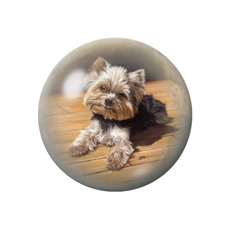 Cabochon en Verre Illustré Chien Yorkshire 12 à 25mm