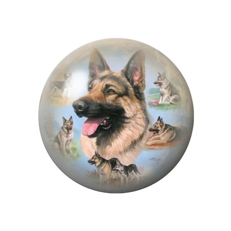 Cabochon en Verre Illustré Chien Berger Allemand 12 à 25mm