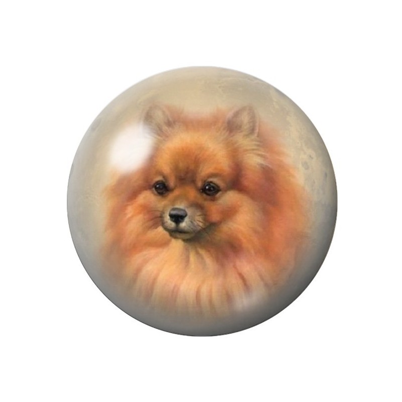 Cabochon en Verre Illustré Chien Volpino 12 à 25mm