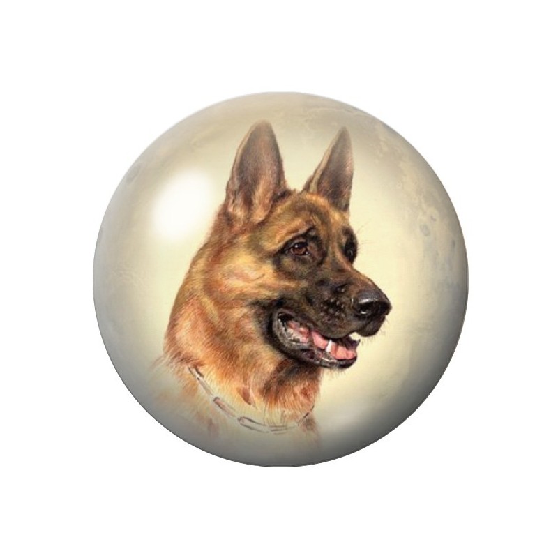 Cabochon en Verre Illustré Chien Berger Allemand 12 à 25mm