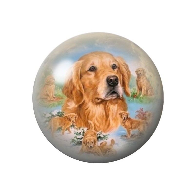 Cabochon en Verre Illustré Chien Golden Retriever 12 à 25mm