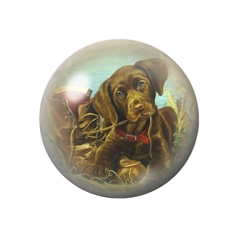 Cabochon en Verre Illustré Chien 12 à 25mm