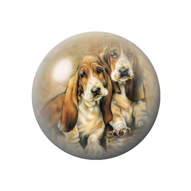 Cabochon en Verre Illustré Chiens Basset 12 à 25mm