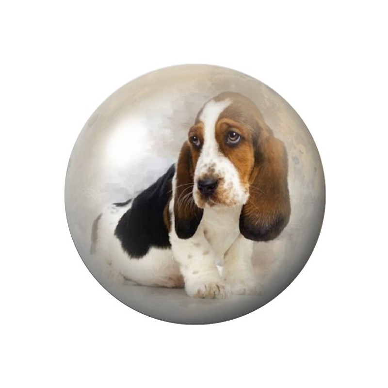 Cabochon en Verre Illustré Chien Basset 12 à 25mm