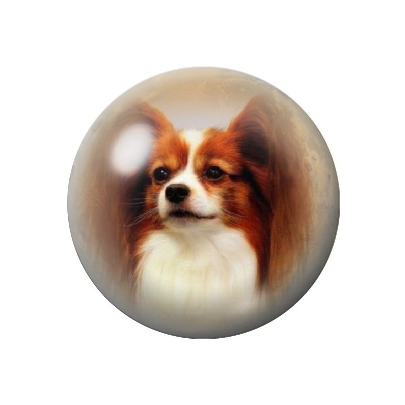 Cabochon en Verre Illustré Chien Epagneul 12 à 25mm