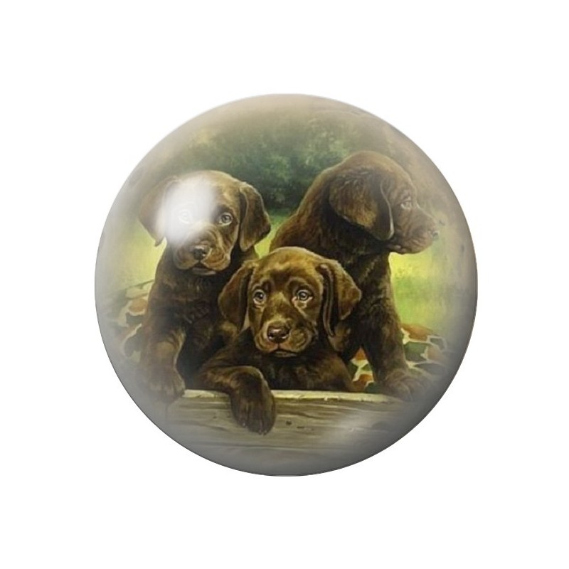 Cabochon en Verre Illustré Chien 12 à 25mm