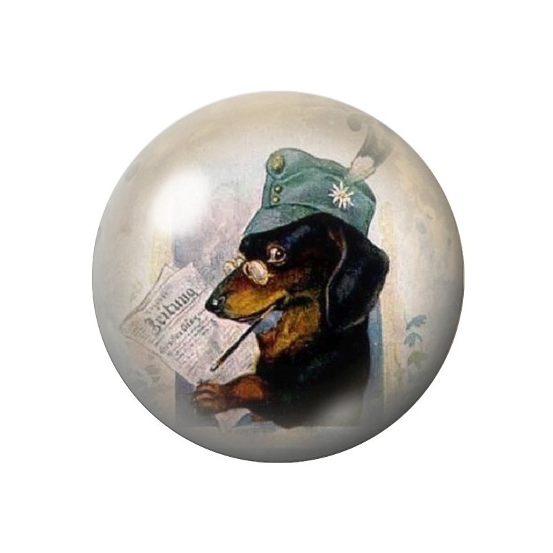 Cabochon en Verre Illustré Chien Aristocrate 12 à 25mm