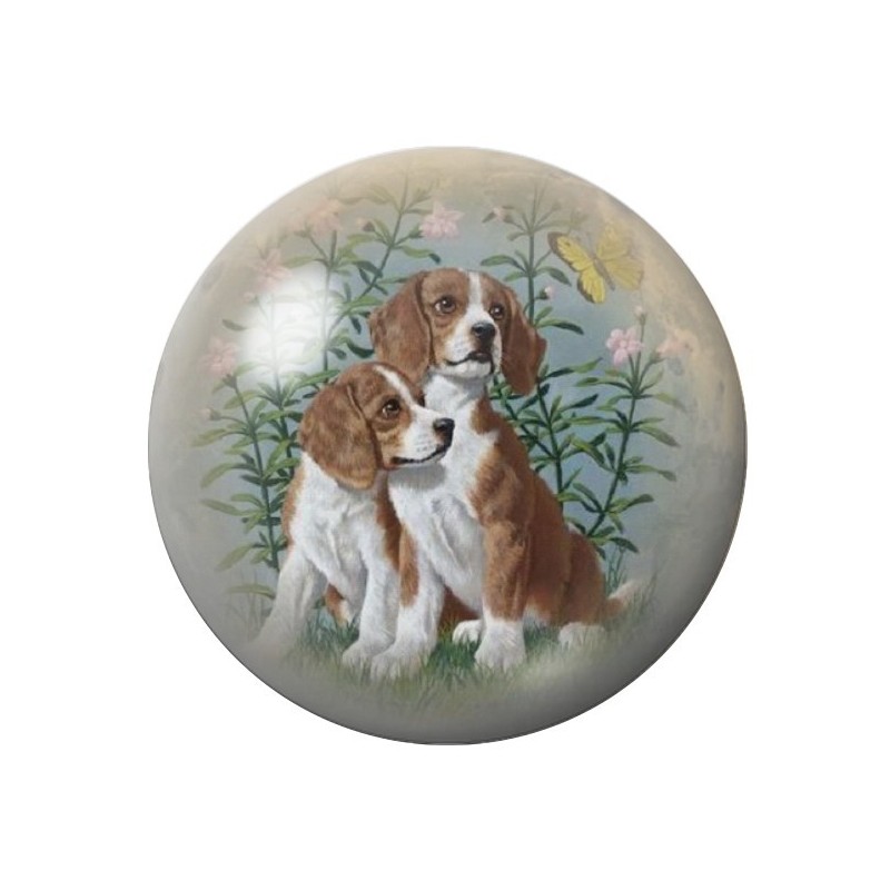 Cabochon en Verre Illustré Chien Hollandais de Chasse 12 à 25mm