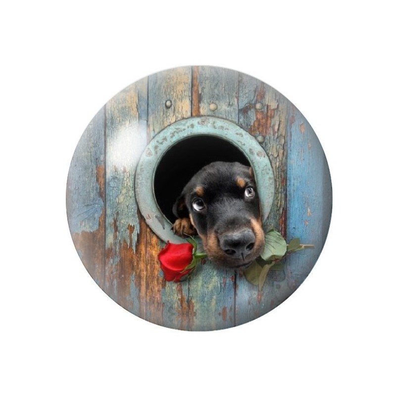 Cabochon en Verre Illustré Chien Rose 12 à 25mm