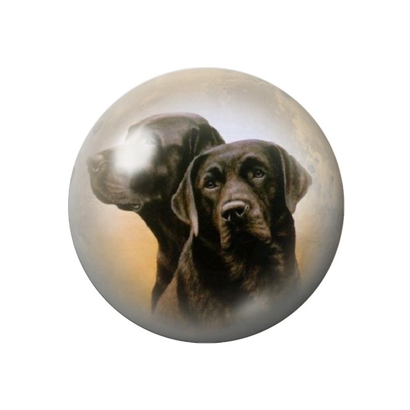 Cabochon en Verre Illustré Chiens Labrador 12 à 25mm