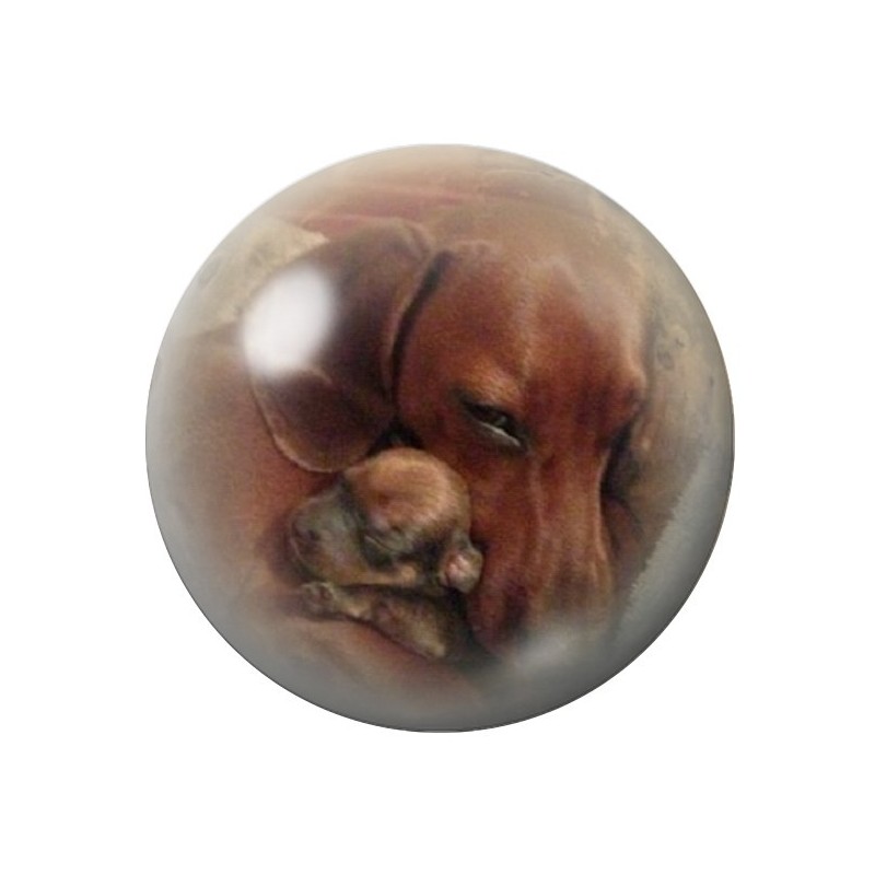 Cabochon en Verre Illustré Maman Chien et Chiot 12 à 25mm