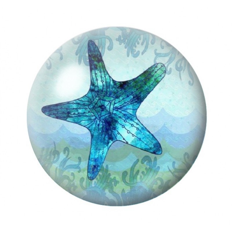 Cabochon en Verre Illustré Etoile de Mer Été 12 à 25mm