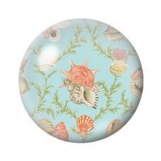 Cabochon en Verre Illustré Coquillages Mer Été 12 à 25mm pour la Création de Bijoux Fantaisie - DIY