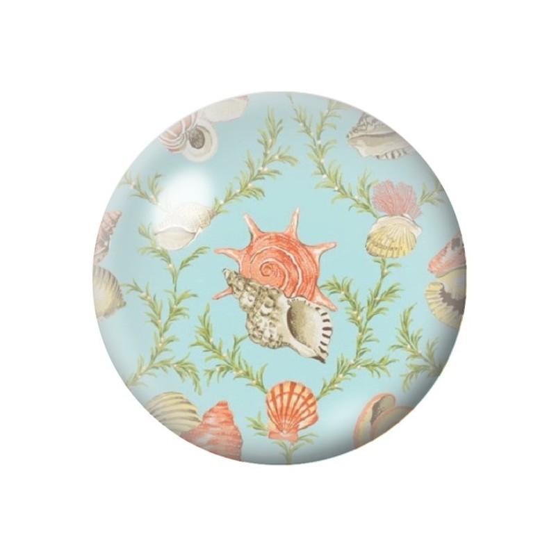 Cabochon en Verre Illustré Coquillages Mer Été 12 à 25mm