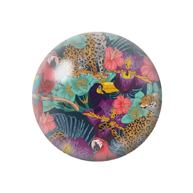 Cabochon en Verre Illustré Exotique Toucan 12 à 25mm