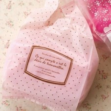 10 Sacs Plastique "Ce qui compte c'est le désir transmettre" 28x15mm  pour la Création de Bijoux Fantaisie - DIY