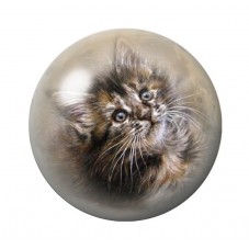 Cabochon en Verre Illustré Chat 12 à 25mm pour la Création de Bijoux Fantaisie - DIY
