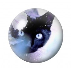 Cabochon en Verre Illustré Chat 12 à 25mm pour la Création de Bijoux Fantaisie - DIY