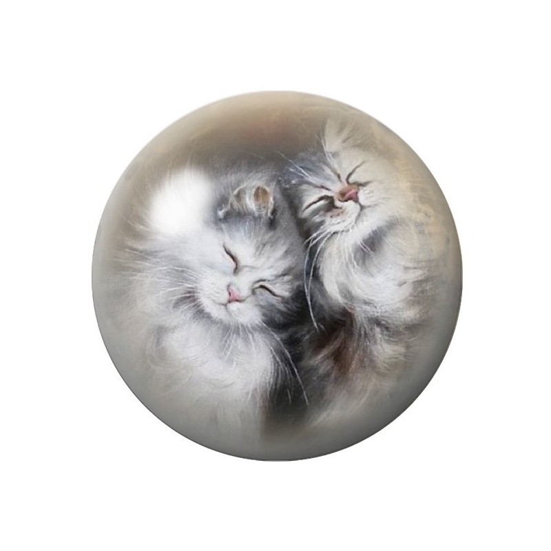 Cabochon en Verre Illustré Chats Câlins 12 à 25mm