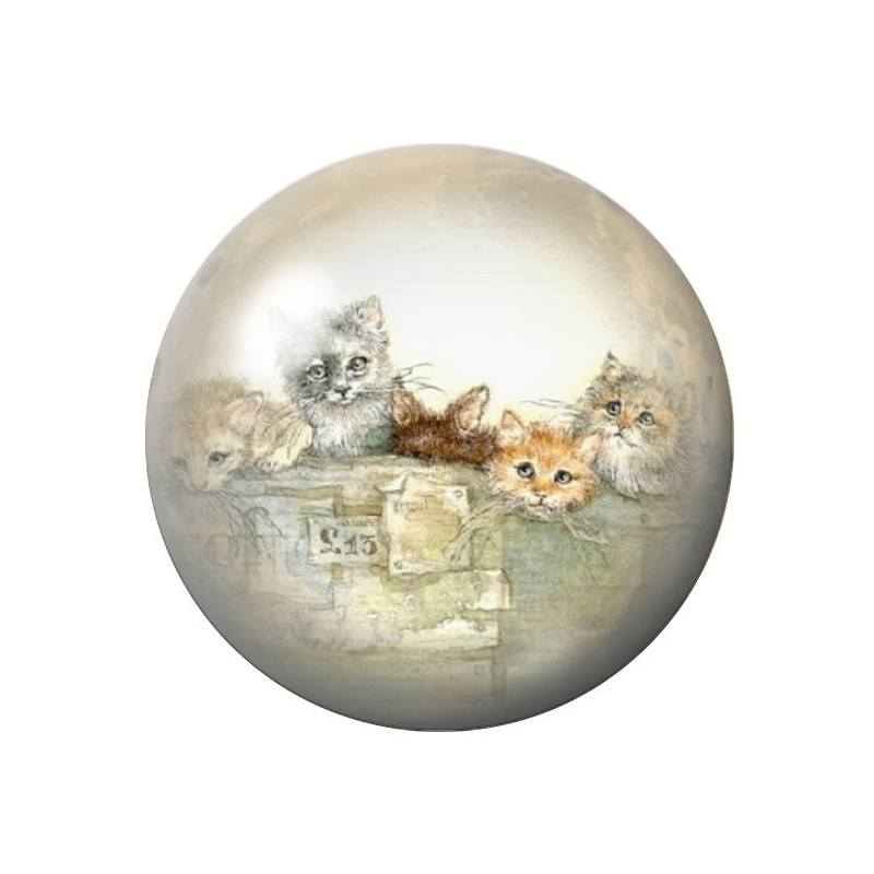 Cabochon en Verre Illustré Chats 12 à 25mm
