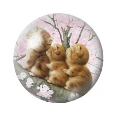Cabochon en Verre Illustré 3 Petits Chats 12 à 25mm pour la Création de Bijoux Fantaisie - DIY