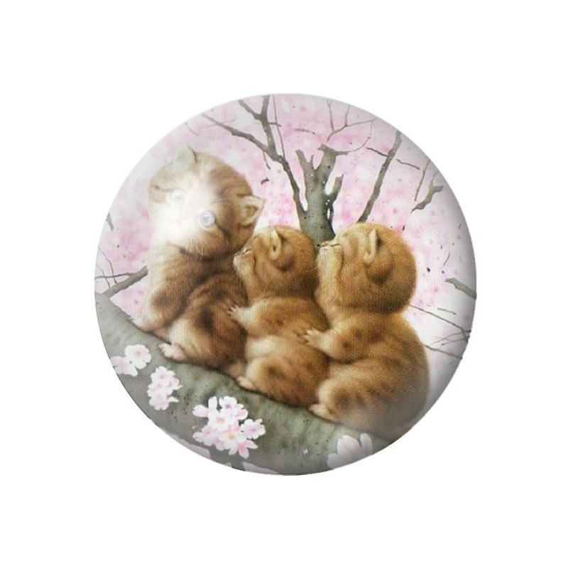 Cabochon en Verre Illustré 3 Petits Chats 12 à 25mm