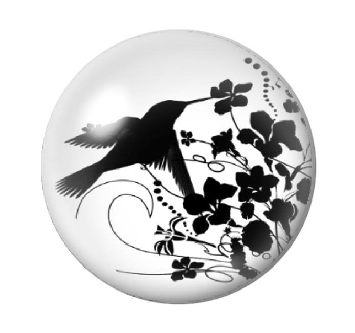 Cabochon en Verre Illustré Colibri 12 à 25mm