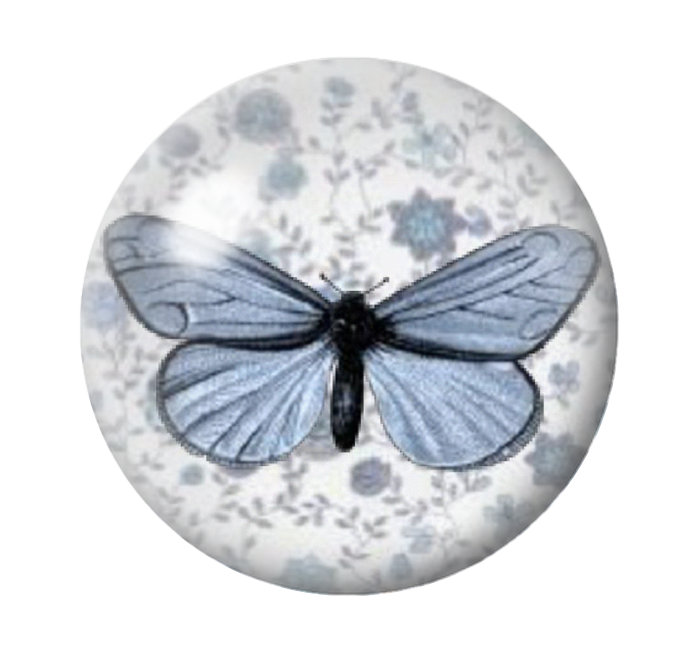 Cabochon en Verre Illustré Papillon 12 à 25mm