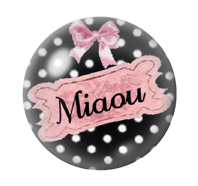 Cabochon en Verre Illustré Miaou 12 à 25mm