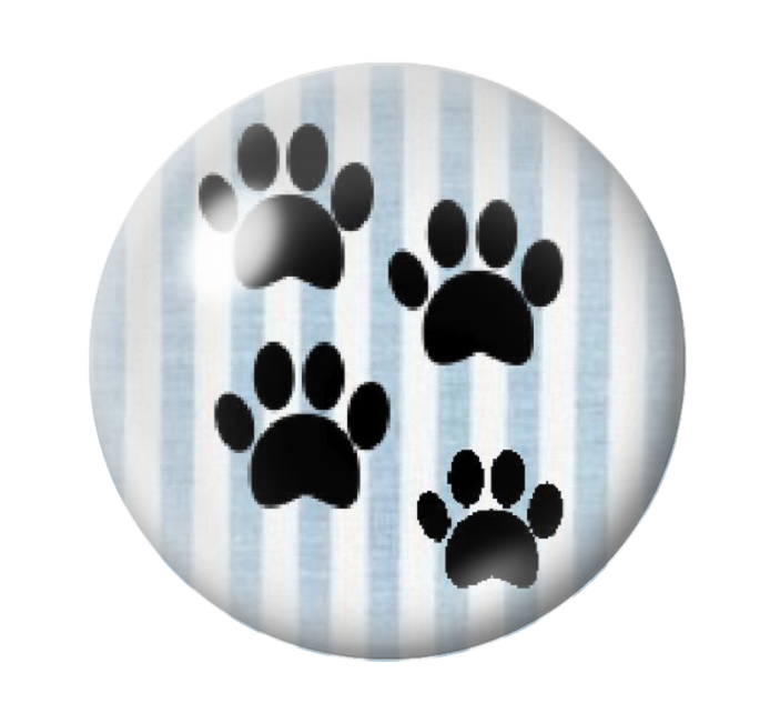 Cabochon en Verre Illustré Pattes Chat 12 à 25mm