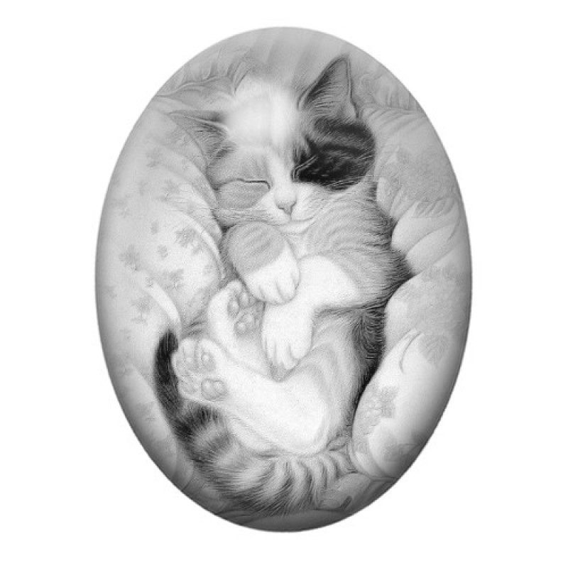 Cabochon en Verre Illustré Chat 13x18, 18x25 ou 30x40mm