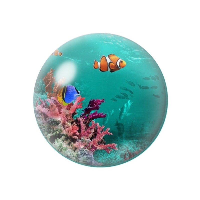 Cabochon en Verre Illustré Poissons Mer 12 à 25mm
