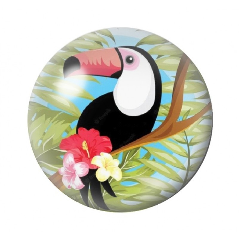 Cabochon en Verre Illustré Toucan 12 à 25mm