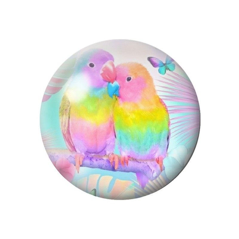 Cabochon en Verre Illustré Perroquets 12 à 25mm