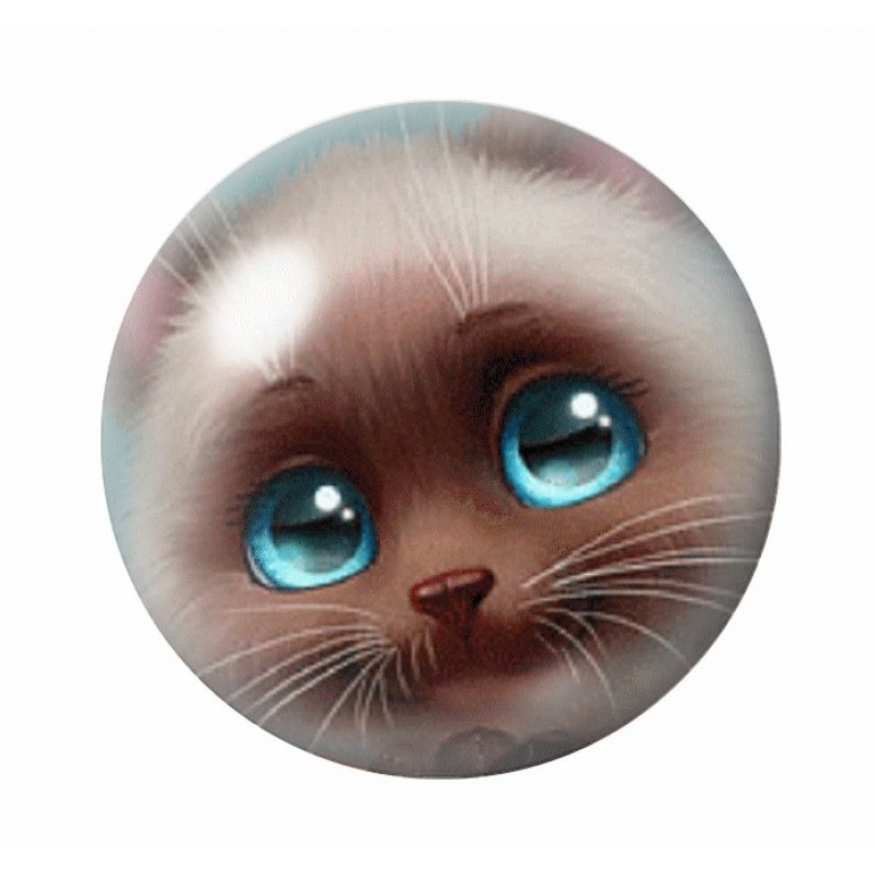 Cabochon en Verre Illustré Chat 12 à 25mm