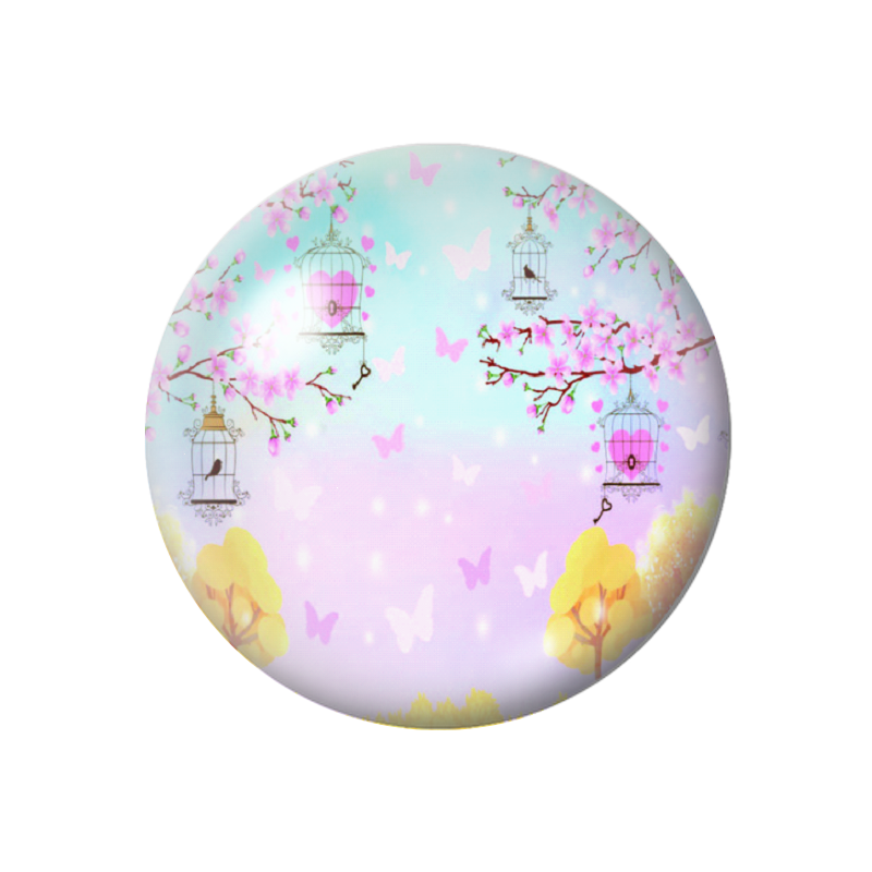 Cabochon en Verre Illustré Cage Oiseaux Papillons 12 à 25mm