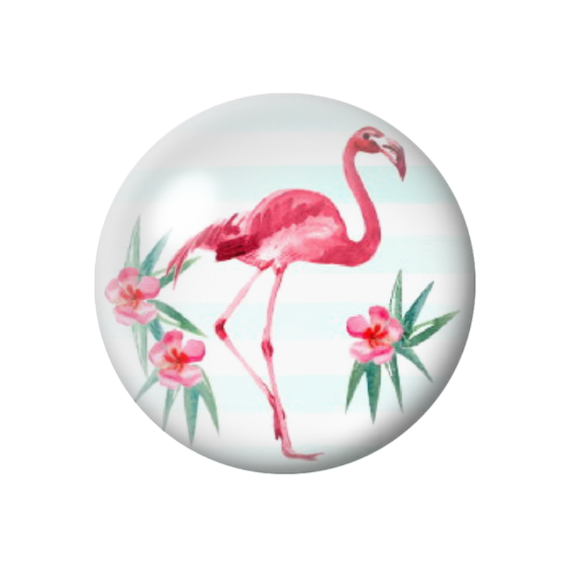  Cabochon en Verre Illustré Exotique Flamant Rose 12 à 25mm