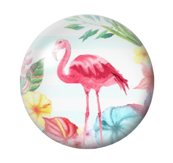  Cabochon en Verre Illustré Exotique Flamant Rose 12 à 25mm