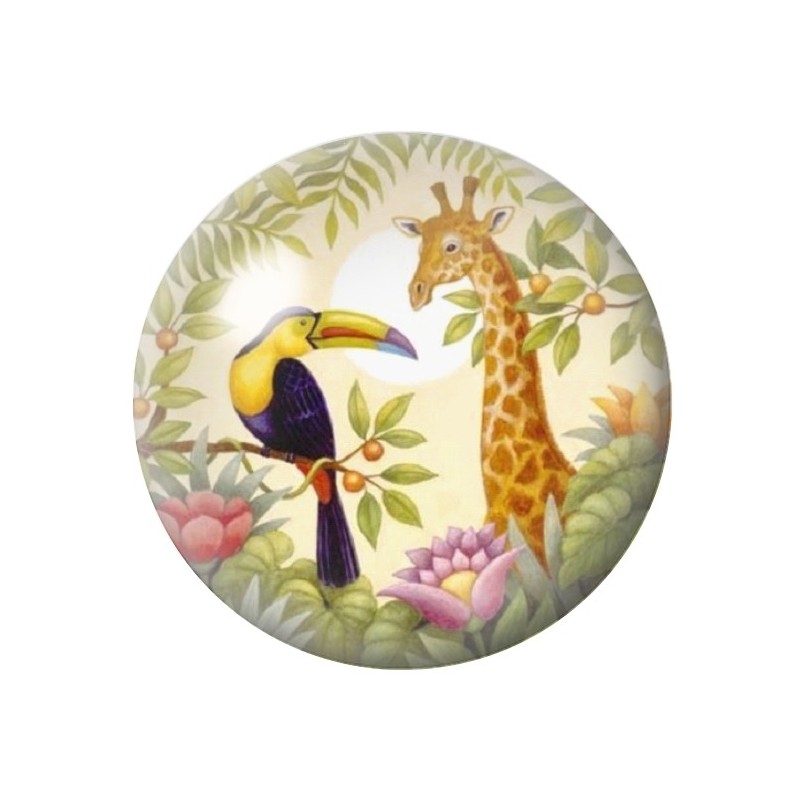  Cabochon en Verre Illustré Exotique Toucan Girafe 12 à 25mm