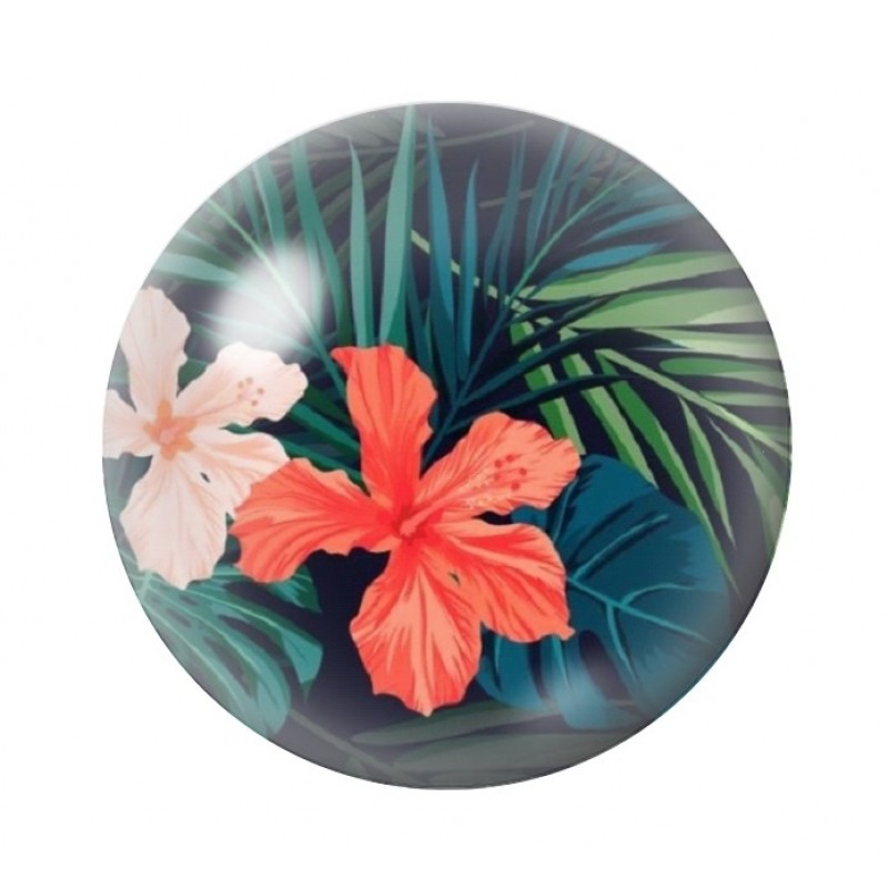  Cabochon en Verre Illustré Exotique Fleurs 12 à 25mm